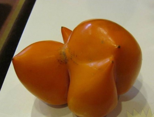 plantas mutantes2
