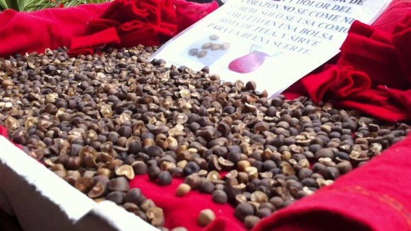 Frijoles saltarines Frijoles saltarines