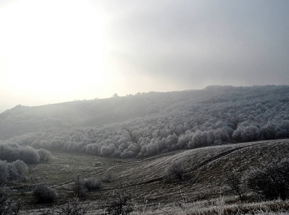 Bosque Hoia-Baciu en Rumanía.