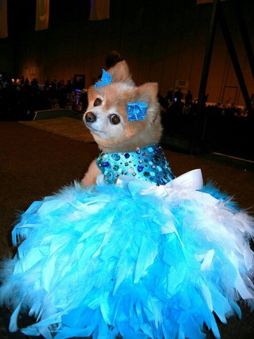 xv años dress