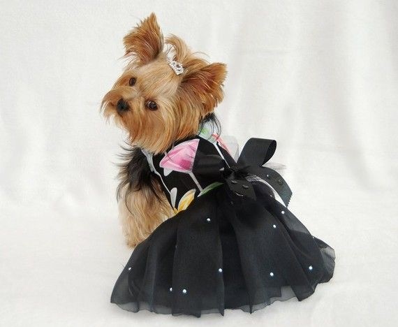 xv años dress6
