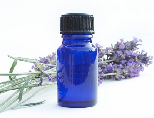 Lavender bottle with herb in the background