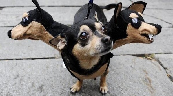 50 Divertidos disfraces de Halloween para tu perro | Es la Moda