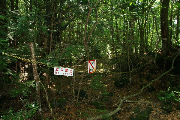 Bosque del suicidio en Japón.