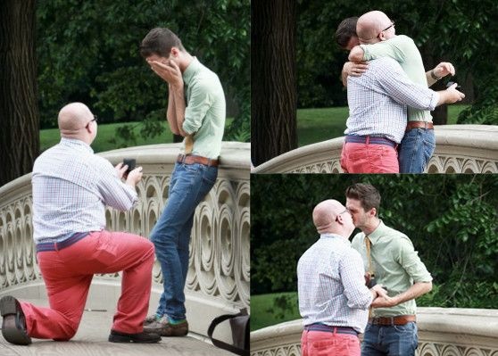 gay proposal