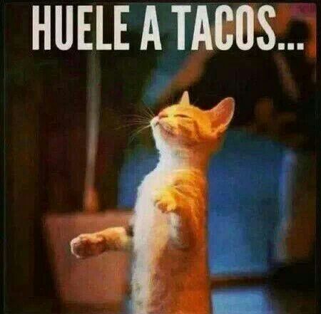 huele a tacos