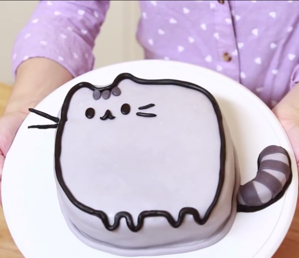 gato pastel