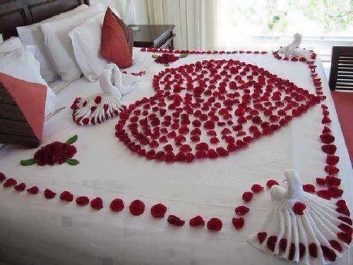 roses bed