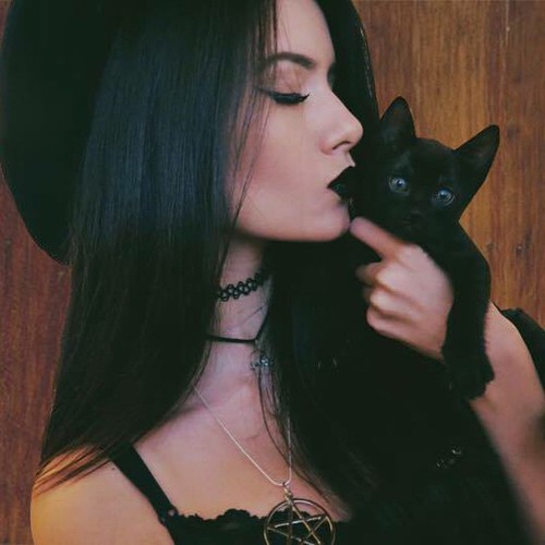 black cat selfie
