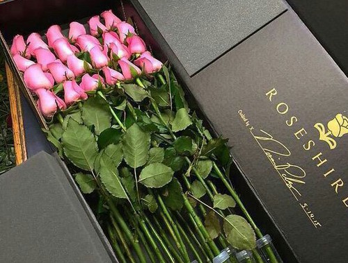 rosas en caja