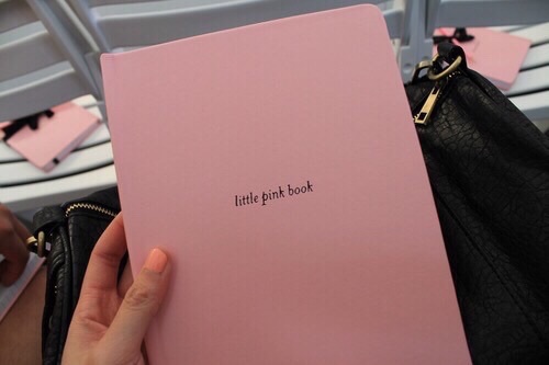 little pink notebook