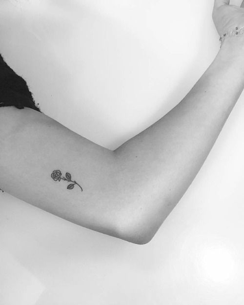 rosa brazo dibujo tatuaje