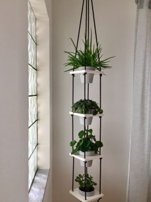 16 Ideas para decorar con plantas tu departamento