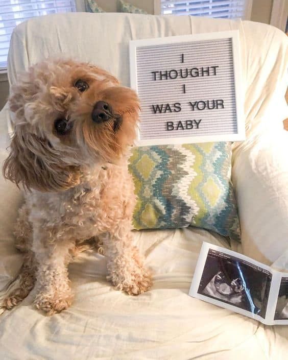 Las 12 mejores ideas para anunciar tu embarazo en Instagram - mumities