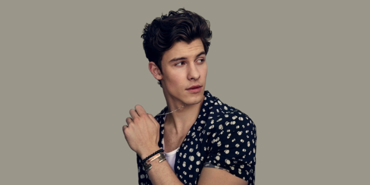 Así ha evolucionado la espalda de Shawn Mendes